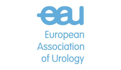 European Association of Urology (EAU)